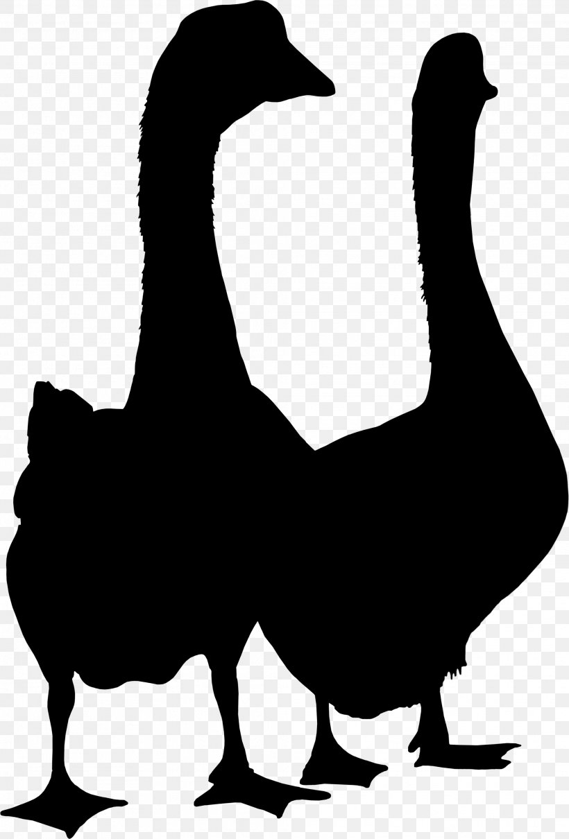 Duck Goose Clip Art Fauna Silhouette, PNG, 2026x2990px, Duck, Beak, Bird, Blackandwhite, Chicken As Food Download Free