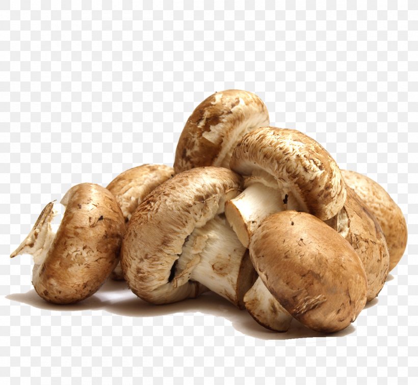 Mushroom Vegetable Shiitake Fungus Ingredient, PNG, 1300x1200px, Chocolate Bar, Artichoke, Bread, Cereal, Edible Mushroom Download Free
