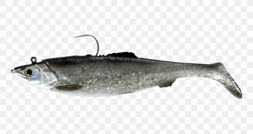 Sardine American Shad Herring Fish Clupeidae, PNG, 3600x1908px, Sardine, American Shad, Anchovy, Barramundi, Bony Fish Download Free