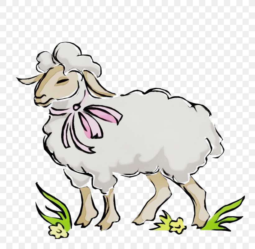 Sheep Sheep Goat-antelope Goats Cow-goat Family, PNG, 800x800px, Watercolor, Animal Figure, Bovine, Cartoon, Coloring Book Download Free