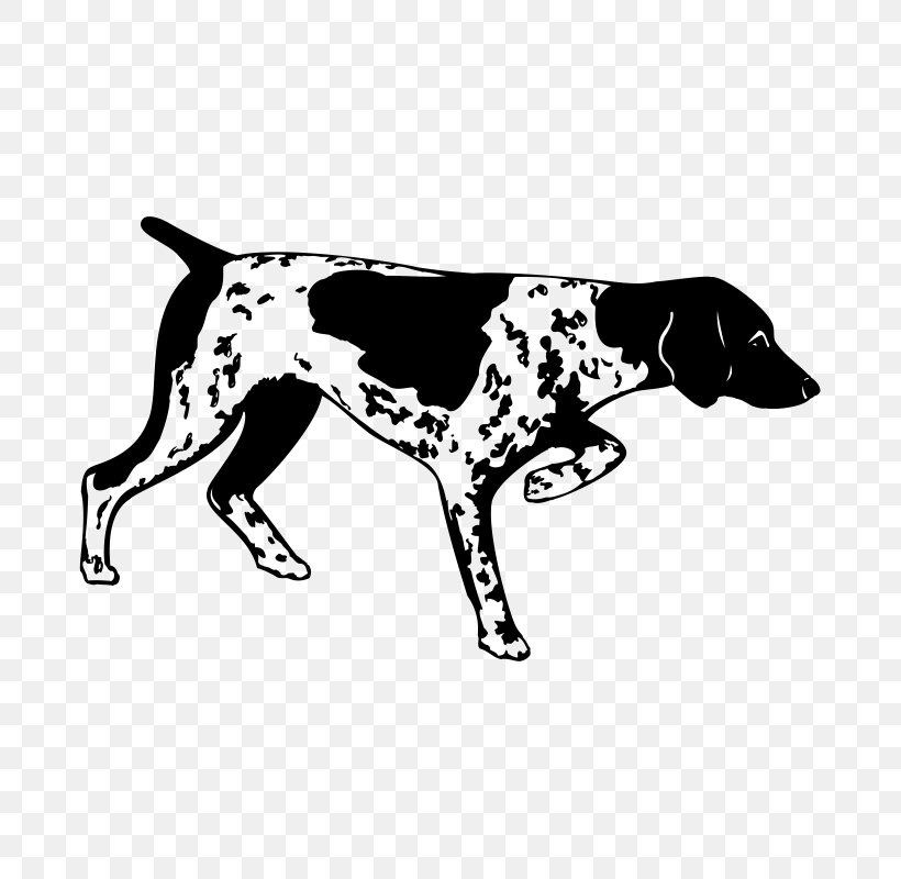 German Shorthaired Pointer Decal Pointing Breed Bird Dog, PNG, 800x800px, German Shorthaired Pointer, Bird Dog, Black And White, Cafepress, Carnivoran Download Free