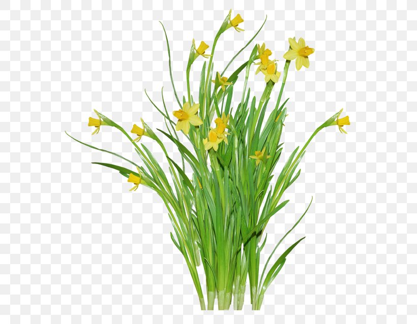 Jonquille Flower Daffodil Clip Art, PNG, 600x638px, Jonquille, Artificial Flower, Cut Flowers, Daffodil, Floraison Download Free