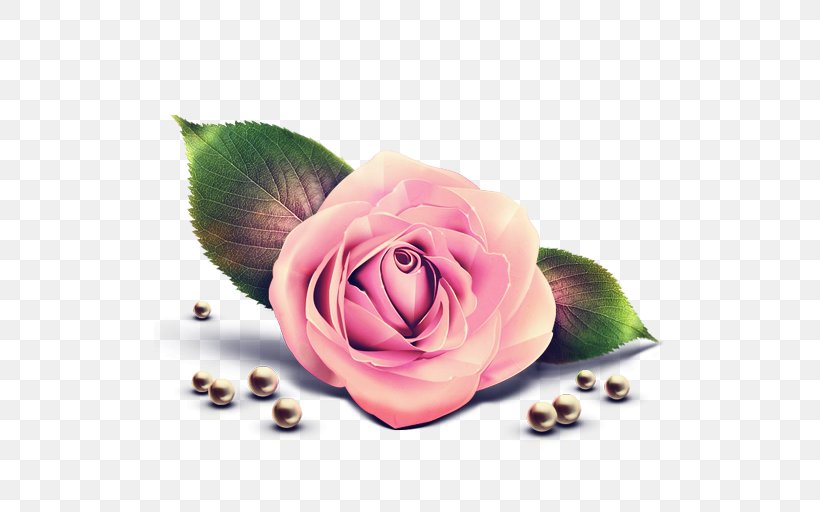 Rose Pink Clip Art, PNG, 512x512px, Rose, Color Quantization, Cut Flowers, Floral Design, Flower Download Free