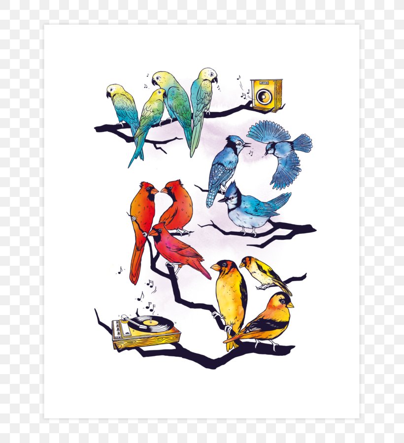 Beak Graphic Design Bird Clip Art, PNG, 740x900px, Beak, Area, Art, Artwork, Bird Download Free
