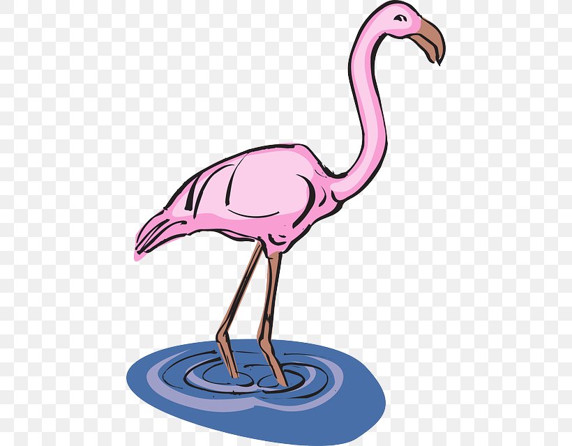 Flamingo Water Bird Clip Art, PNG, 458x640px, Flamingo, Beak, Bird, Drinking Water, Neck Download Free