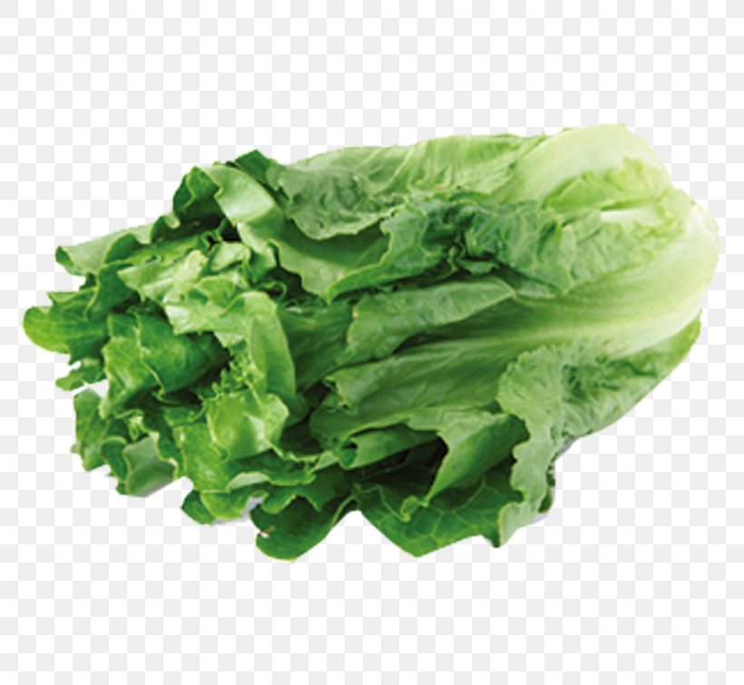 Leaf Vegetable Lettuce Food Nutrition, PNG, 798x755px, Vegetable, Bladzijde, Cabbage, Choy Sum, Collard Greens Download Free