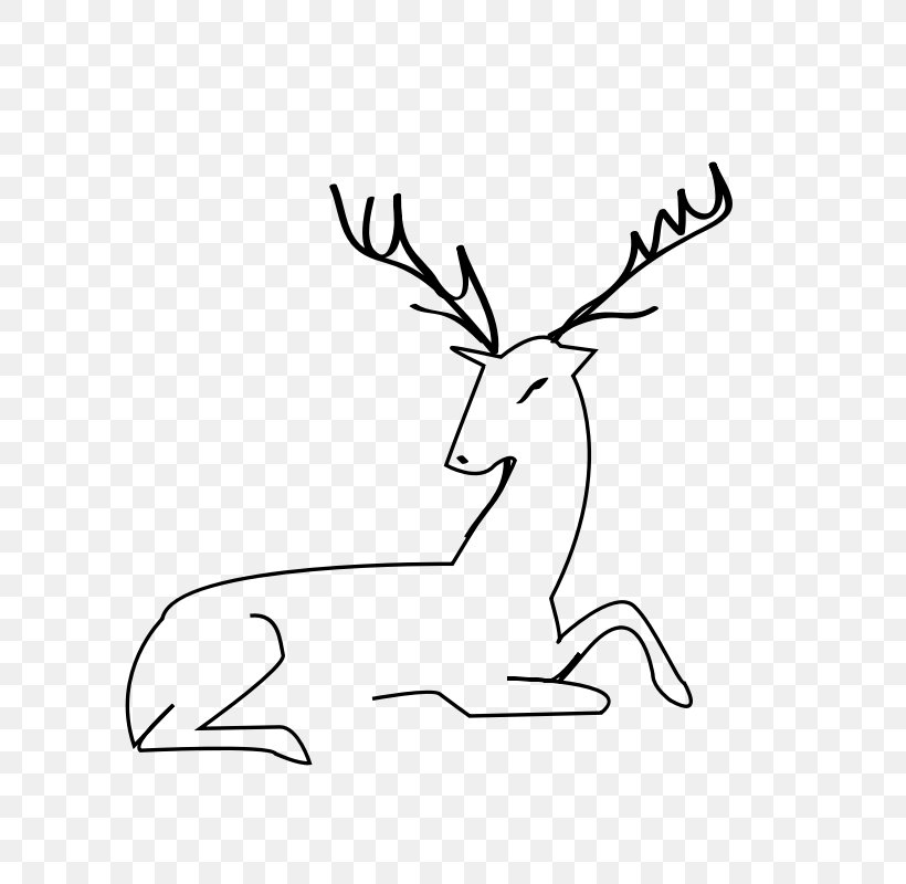 White-tailed Deer Moose Clip Art, PNG, 800x800px, Deer, Antler, Area, Black And White, Coloring Book Download Free