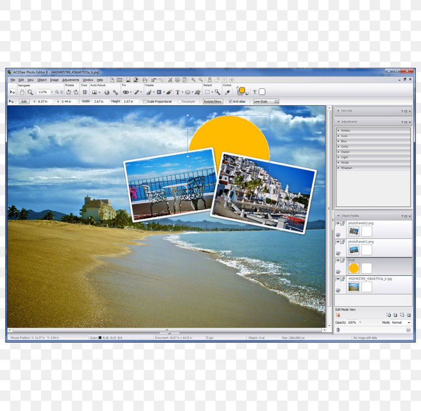 Computer Software ACDSee Editing Text Editor, PNG, 800x800px, Computer Software, Acdsee, Acdsee Photo Editor, Acdsee Photo Manager, Advertising Download Free