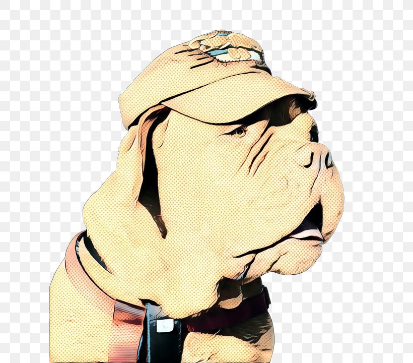 American Bulldog, PNG, 624x720px, Bulldog, American Bulldog, Breed, Bullmastiff, Cartoon Download Free