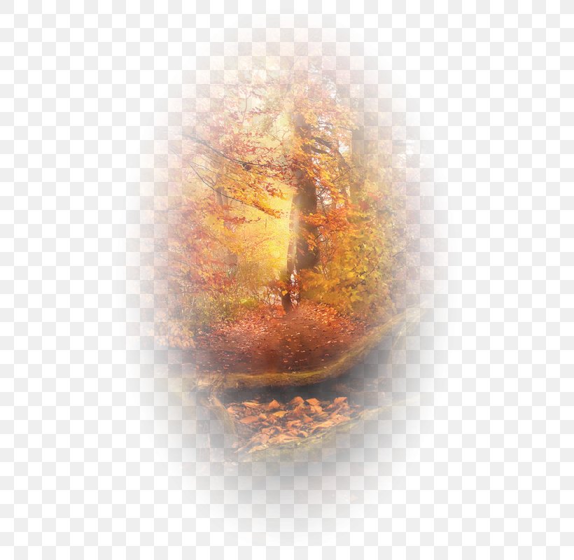 Autumn Desktop Wallpaper Landscape Clip Art, PNG, 505x800px, Autumn, Blog, Computer, Dia, Fashion Download Free