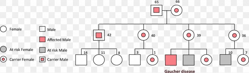 Brand Line Point Angle, PNG, 1179x347px, Brand, Area, Diagram, Material, Number Download Free