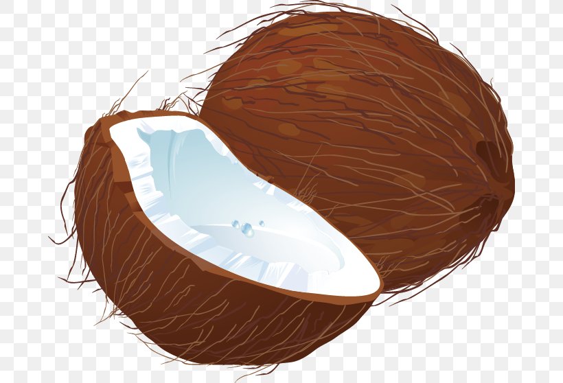 Coconut, PNG, 680x558px, Coconut, Android Application Package, Brown, Chocolate, Computer Graphics Download Free