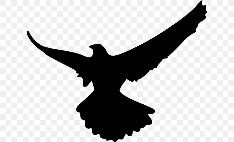 Falcon Silhouette Clip Art, PNG, 632x498px, Falcon, Beak, Bird, Black And White, Drawing Download Free