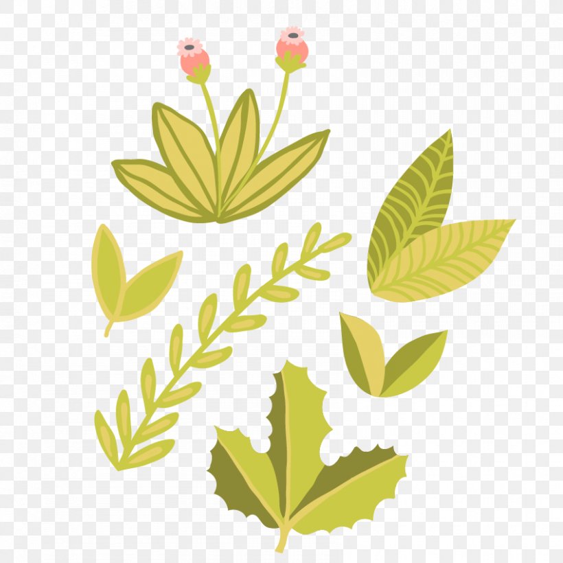 Leaf Photography Clip Art, PNG, 850x850px, Leaf, Branch, Flora, Flower, Flowering Plant Download Free