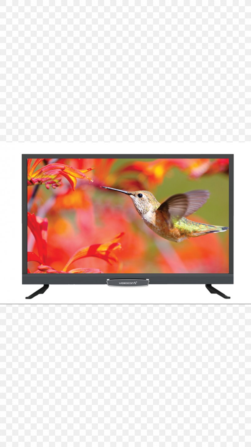 LED-backlit LCD Television Set HD Ready High-definition Television, PNG, 1080x1920px, Ledbacklit Lcd, Advertising, Bird, Consumer Electronics, Contrast Ratio Download Free