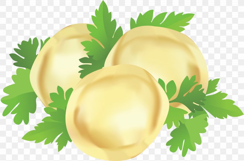 Pelmeni Vector Graphics Euclidean Vector, PNG, 6508x4305px, Pelmeni, Dumpling, Food, Greens, Leaf Vegetable Download Free