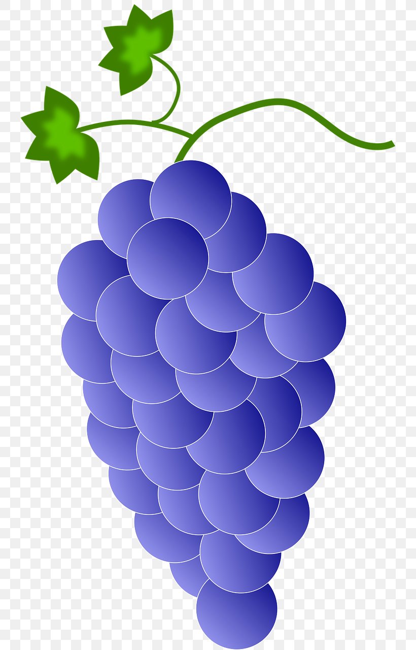 Red Wine Common Grape Vine Clip Art, PNG, 739x1280px, Red Wine, Color, Common Grape Vine, Flowering Plant, Food Download Free