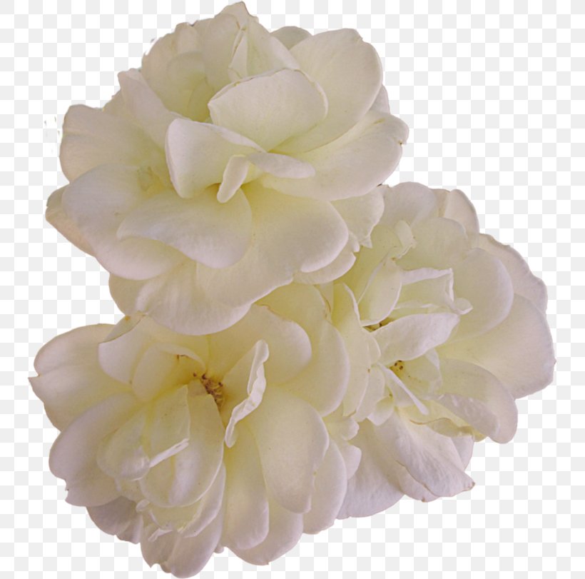 Rose Floral Design Cut Flowers Flower Bouquet, PNG, 743x811px, Rose, Blossom, Blue Rose, Cut Flowers, Floral Design Download Free