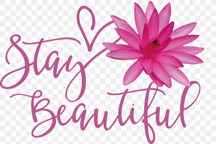 Stay Beautiful Fashion, PNG, 3000x2010px, Stay Beautiful, Biology, Cut Flowers, Fashion, Floral Design Download Free