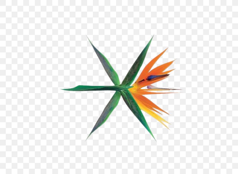 The War EXO Ko Ko Bop Album Cover, PNG, 587x598px, Watercolor, Cartoon, Flower, Frame, Heart Download Free