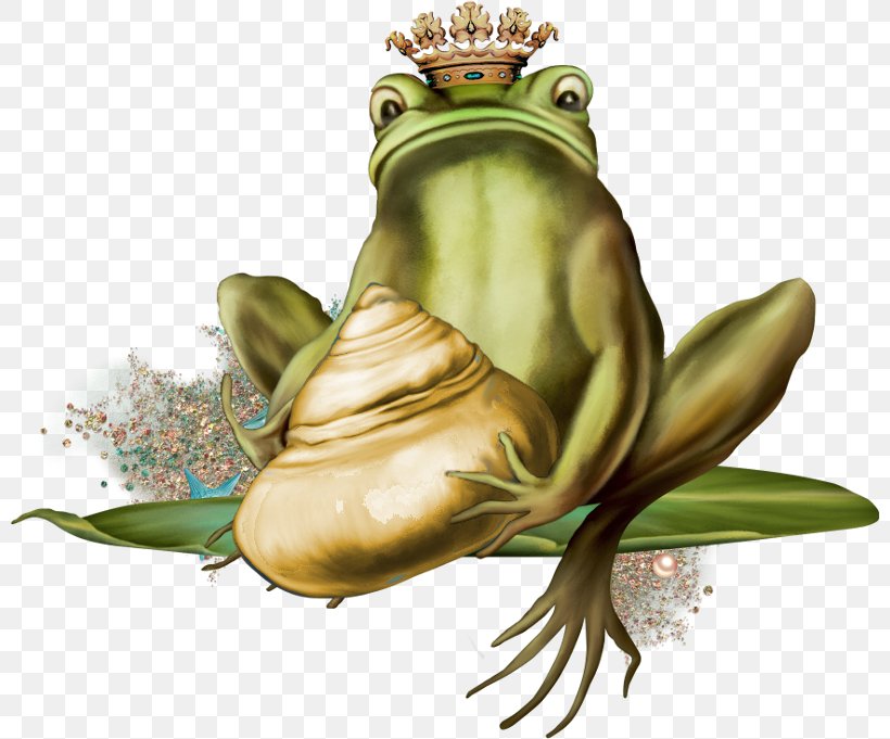 True Frog Toad Amphibian, PNG, 800x681px, True Frog, American Bullfrog, Amphibian, Animal, Frog Download Free
