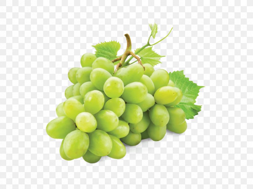 White Wine Sultana Grape Pinot Blanc Juice, PNG, 866x650px, White Wine, Common Grape Vine, Flower, Flowering Plant, Food Download Free