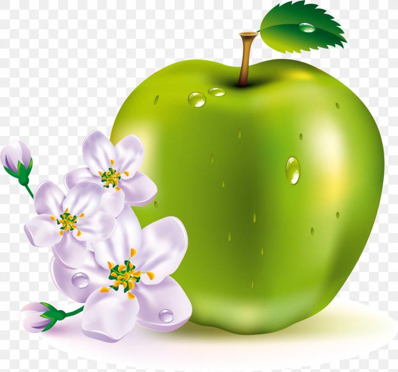 Apple Fruit Clip Art, PNG, 952x890px, Apple, Food, Fruit, Granny Smith, Green Download Free
