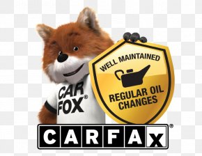 Car - Carfax Car Dealership Used Car Buick PNG