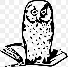 Harry Potter Owl - Clip Art PNG