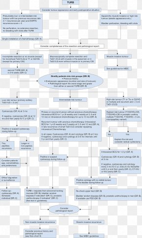 Bladder Cancer - Document Line Angle PNG