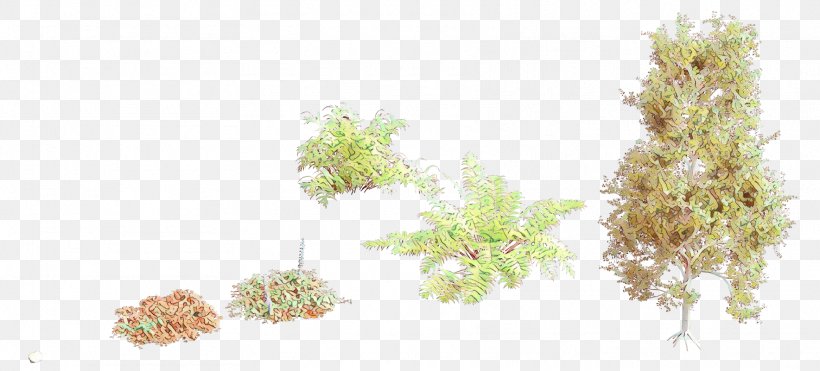 Grasses Pine Leaf Meter, PNG, 1769x801px, Cartoon, Aquarium Decor, Branch, Flower, Grass Download Free