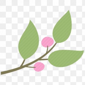 Leaf - Leaf Iconfinder Petal PNG