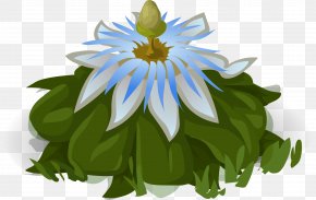 Passion Flower - Petal Flower Passiflora Caerulea Clip Art PNG