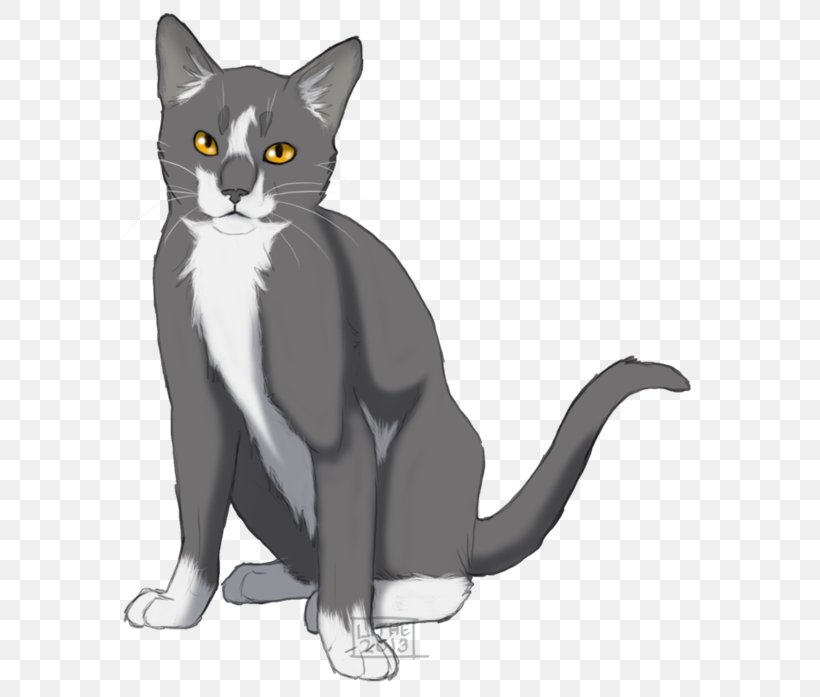 Warriors ThunderClan RiverClan Graystripe Erin Hunter, PNG, 600x697px, Warriors, American Wirehair, Beetlenose, Black And White, Black Cat Download Free