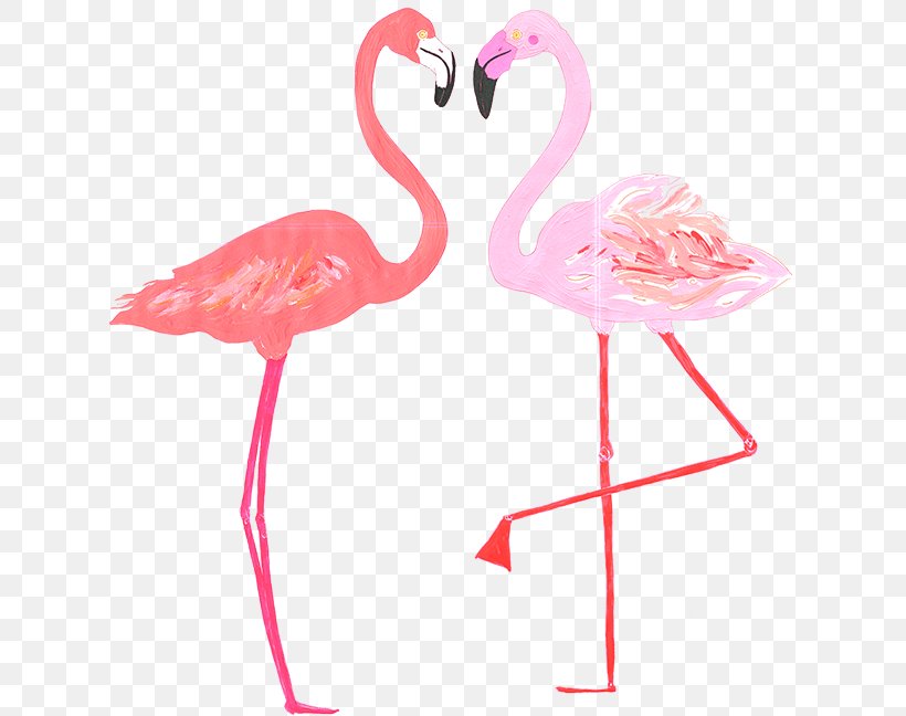 Babb Photo Flamingo, PNG, 634x648px, Flamingo, Beak, Bird, Feather, Flamingos Download Free