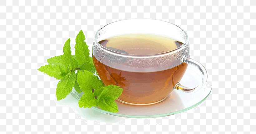 Maghrebi Mint Tea Peppermint Tea Green Tea, PNG, 600x428px, Tea, Apple Mint, Assam Tea, Cafe, Chinese Herb Tea Download Free