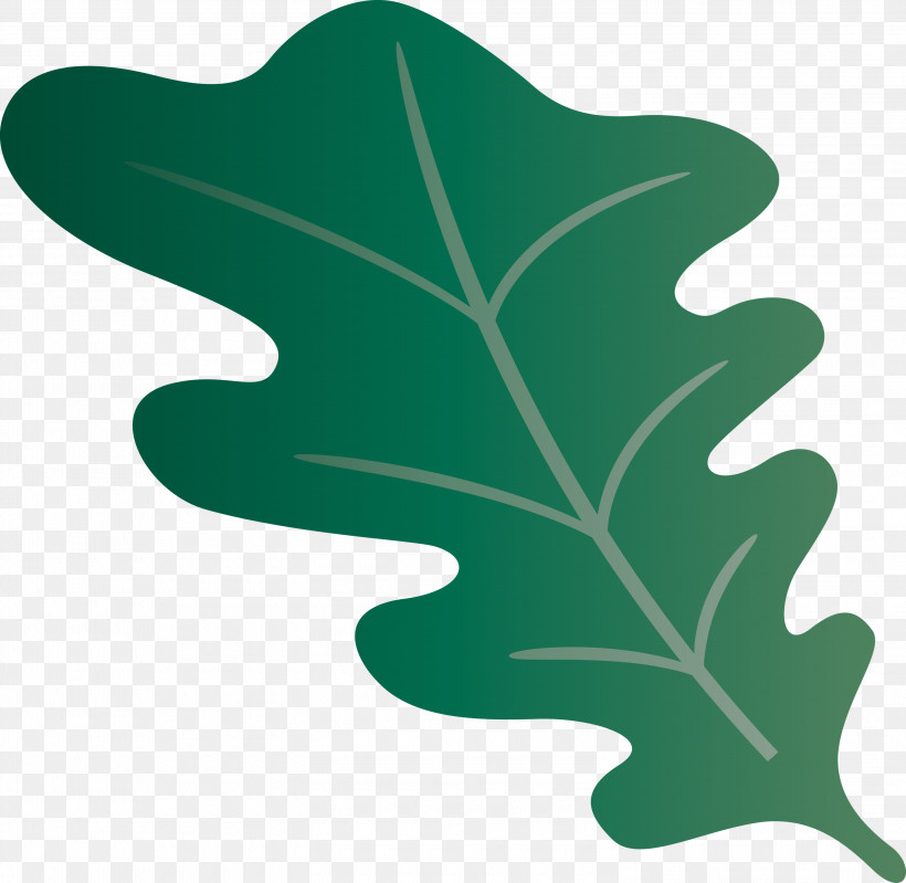 Oak Leaf, PNG, 3000x2926px, Oak Leaf, Biology, Green, Leaf, Meter Download Free
