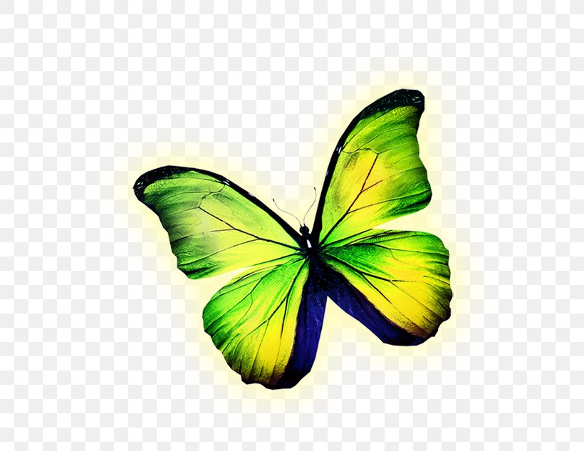 Butterfly Yellow Royalty-free Illustration, PNG, 687x633px, Butterfly, Brush Footed Butterfly, Butterflies And Moths, Drawing, Green Download Free