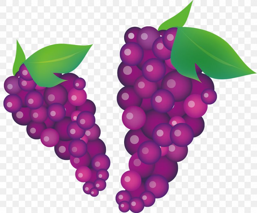 Common Grape Vine Wine Clip Art, PNG, 1259x1044px, Common Grape Vine, Berry, Food, Fruit, Frutti Di Bosco Download Free