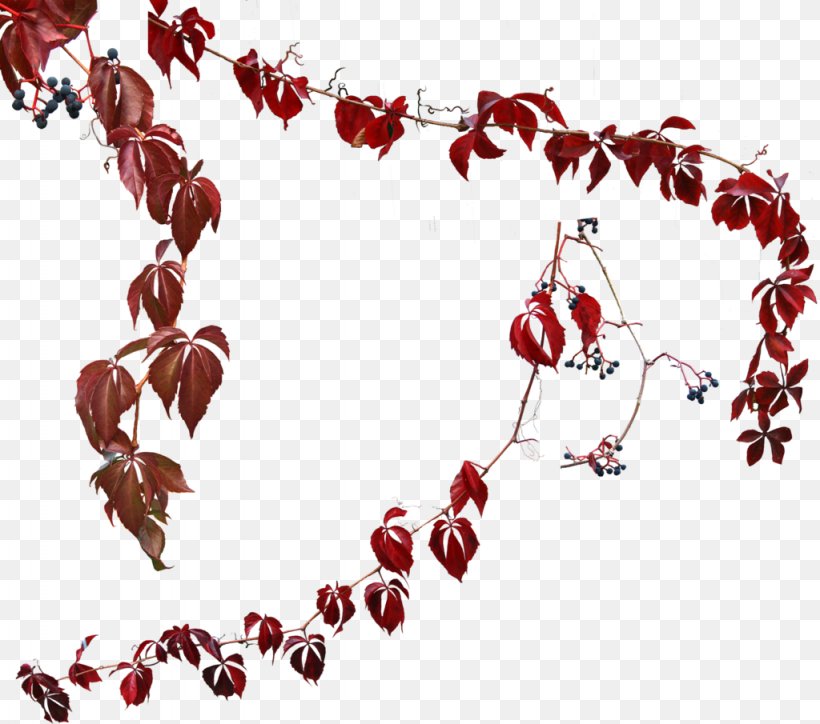 Heart Tree Flower, PNG, 1024x905px, Watercolor, Cartoon, Flower, Frame, Heart Download Free