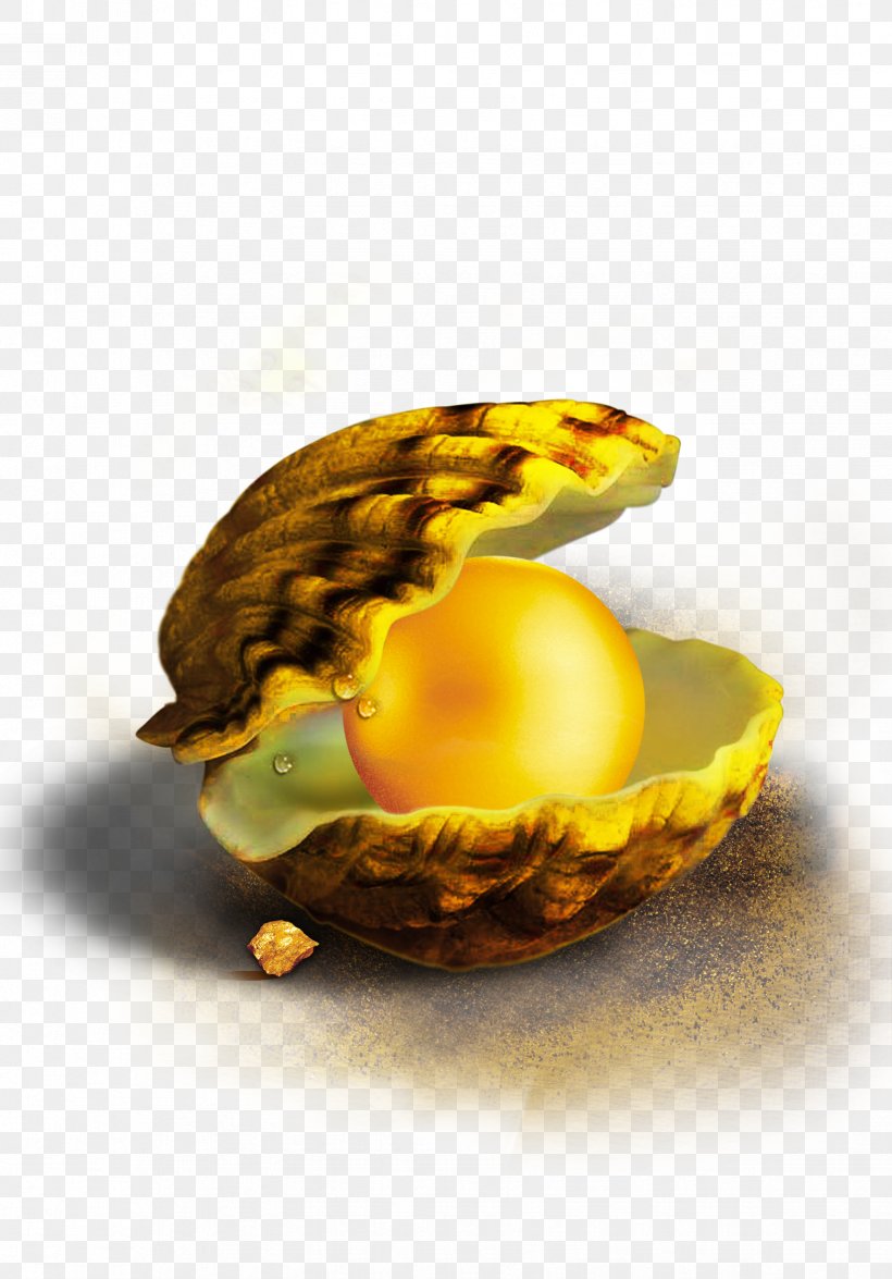 Seashell Pearl Vecteur Computer File, PNG, 1647x2362px, Seashell, Concepteur, Egg, Food, Fruit Download Free