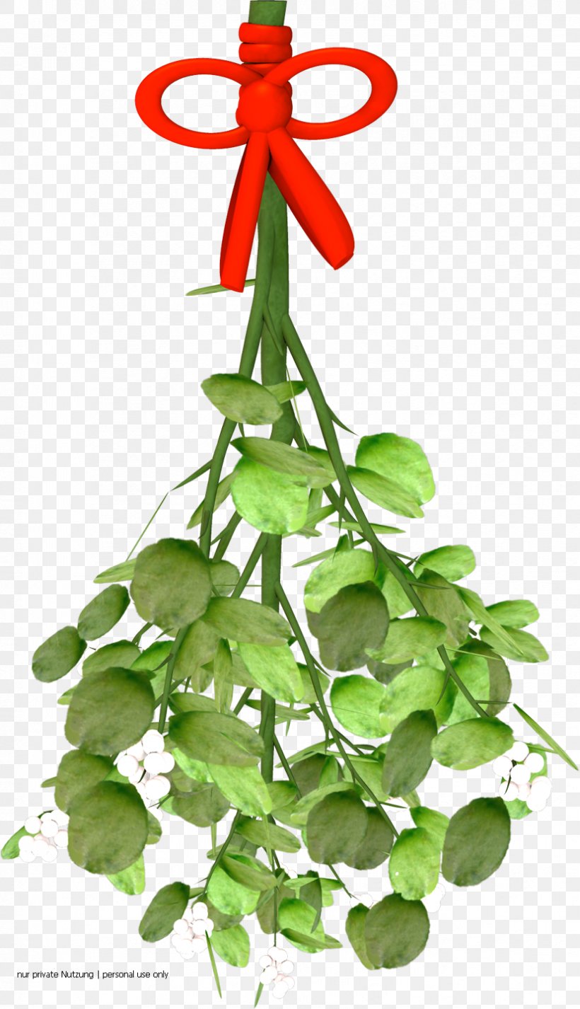 Viscum Flowerpot Plant Stem Symbol, PNG, 828x1440px, Viscum, Bild, Brauch, Christianity, Door Download Free