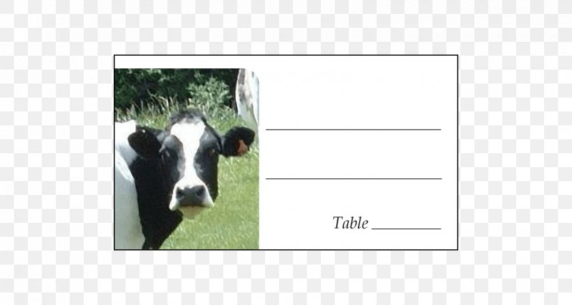 Dairy Cattle Calf Dog, PNG, 1660x888px, Dairy Cattle, Breed, Calf, Cattle, Cattle Like Mammal Download Free
