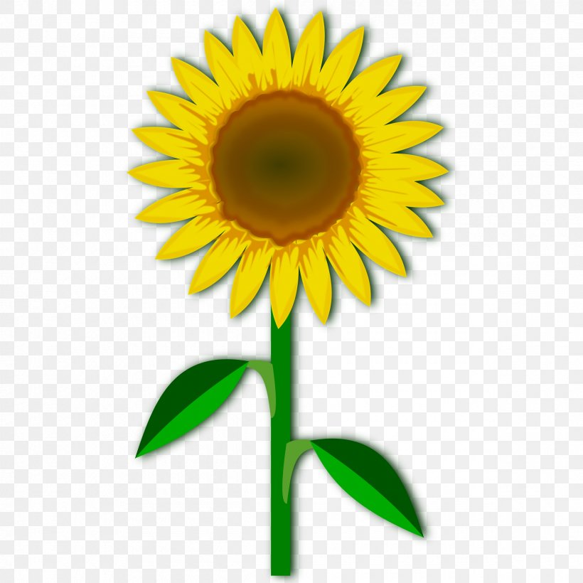 Flower Clip Art, PNG, 2400x2400px, Flower, Common Sunflower, Cut Flowers, Daisy Family, Digital Image Download Free