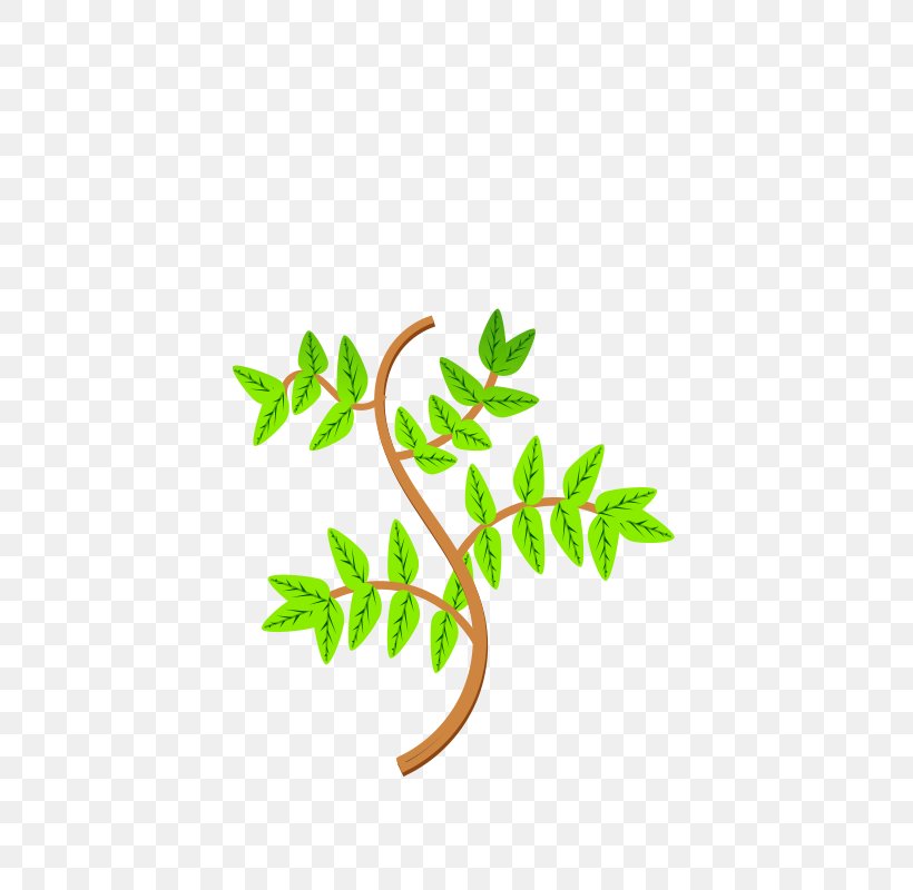 Leaf Branch Tree Clip Art, PNG, 566x800px, Leaf, Autumn Leaf Color, Birch, Branch, Flora Download Free