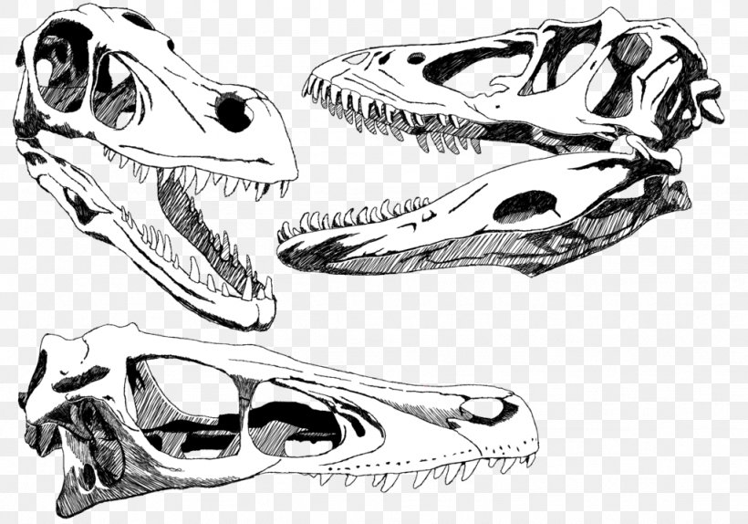 Velociraptor Skull Tyrannosaurus Triceratops Painting, PNG, 1024x717px, Velociraptor, Art, Automotive Design, Black And White, Body Jewelry Download Free