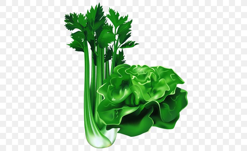 Leaf Vegetable Cartoon Food, PNG, 500x500px, Vegetable, Cartoon, Celery, Chinese Cabbage, Flowerpot Download Free