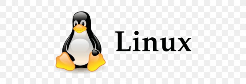 Linux Distribution Operating Systems Unix-like Open-source Software, PNG, 1667x573px, Linux, Beak, Berkeley Software Distribution, Bird, Brand Download Free