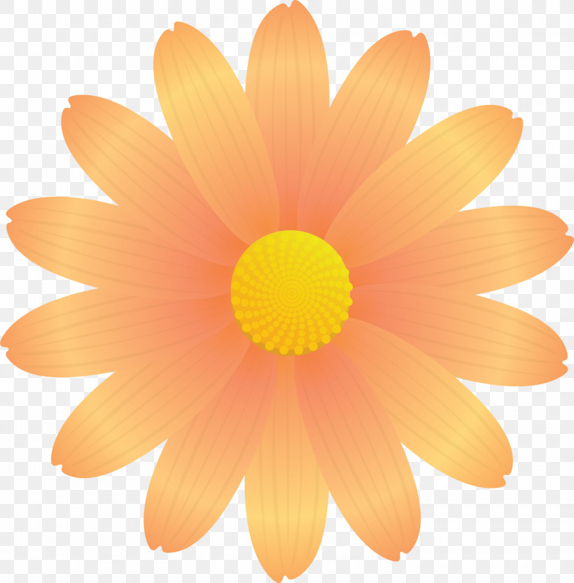 Marguerite Flower Spring Flower, PNG, 2953x3000px, Marguerite Flower, Barberton Daisy, Chamomile, Daisy, Daisy Family Download Free