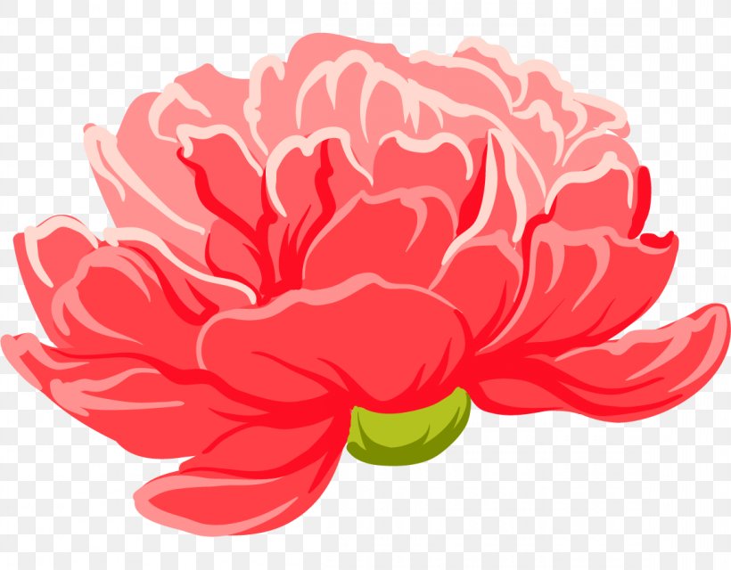 Moutan Peony Floral Design, PNG, 1153x900px, Peony, Carnation, Cut Flowers, Dahlia, Designer Download Free